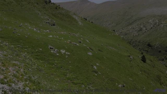 Поля вспыхивают красками, когда играет такой ритм - Drop Down -- Kirk Osamayo -- Season Two (PURPLE)