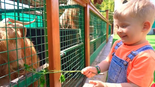 ДИАНА И РОМА - Оливер и Адам собираются собирать Овощи на Ферме