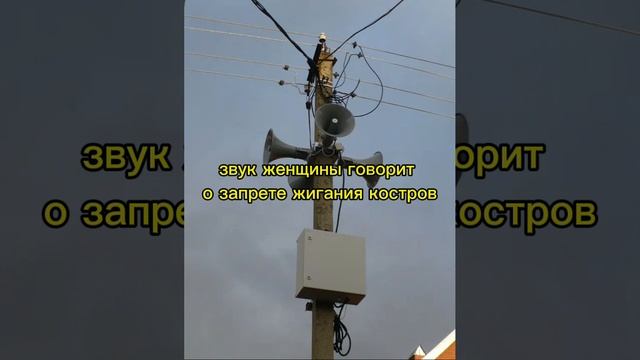 звук Серены