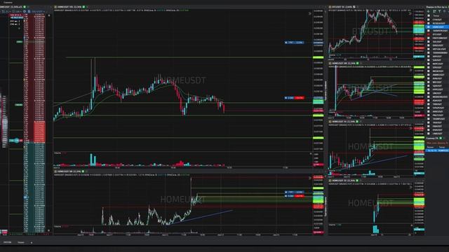 4-Homeusdt-Long-Stoploss-12-06-2025-16-48-00