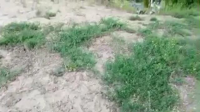 The best video 2025