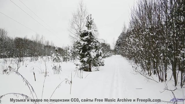 Включите погромче - и пусть дух захватывает! - Track 08 -- Berbere Superstar -- The Best Things Are