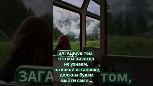 Встречаем и думаем