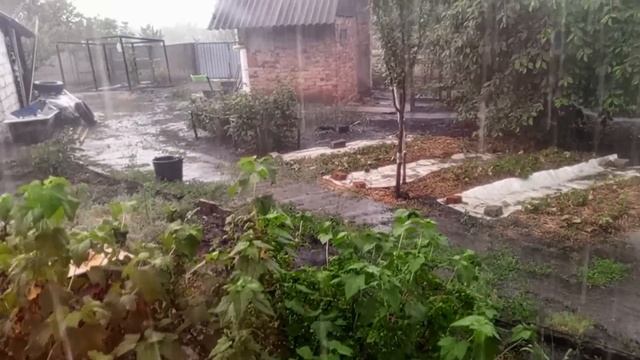Наконец то дождались...Макеевка ДНР Россия .