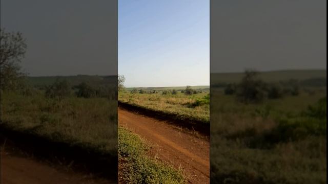 МОЙ МОТО ДЕНЬ 25.05.2025 ГОД.