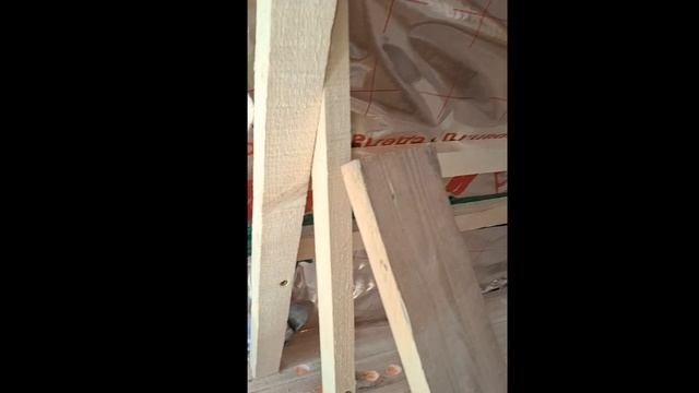 1000026525.mp4 (Собака слушает о планировании крепления  имитации бруса внутри дома А-фрейм)
