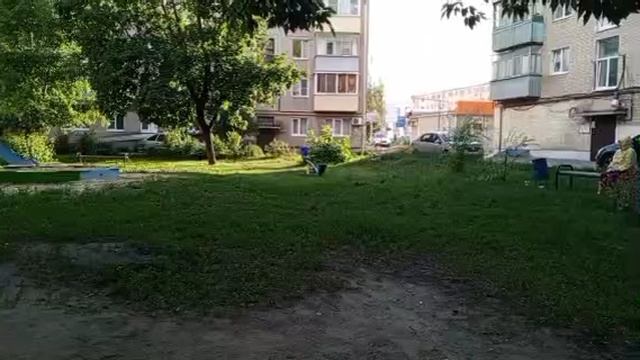 1000008437.mp4