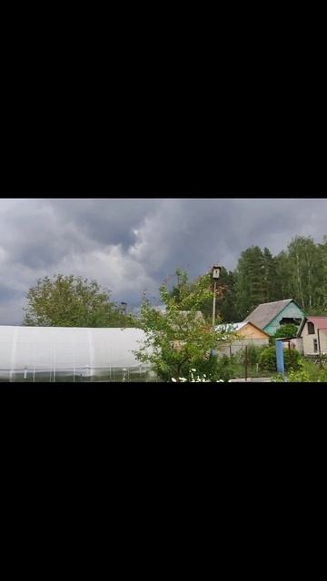 Летний дождь