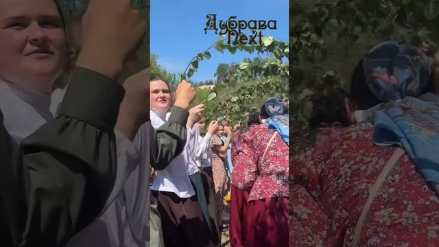 Фольклорный праздник Троица на Зюзелге ансамбль Дубрава