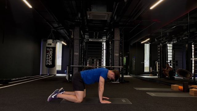 Scapular push-ups (лопаточные отжимания)