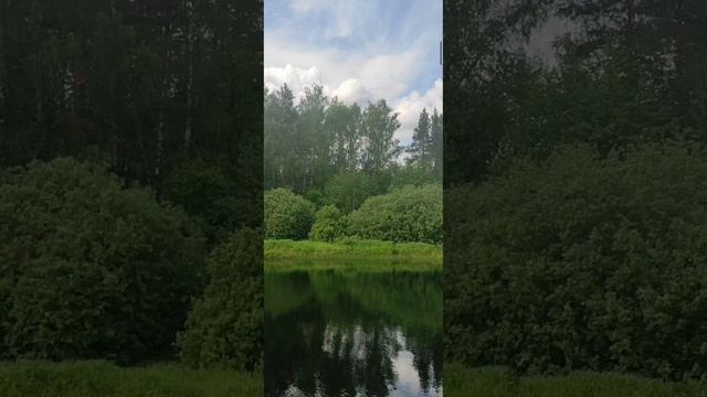 Евангелие от Иоанна глава 2 стих 13-25