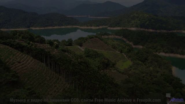 Почему эту мелодию называют музыкой просветления - Angelita (Acapella) ft Nitty Scott -- The Polish