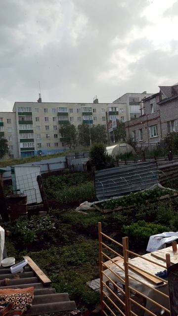 Наконец-то дождь #дождь #летнийдождь