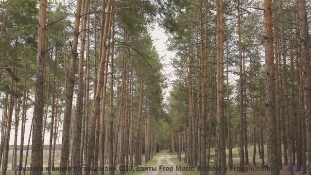 Музыка мечты и виды сказочного леса - Sun-Inside -- Ketsa -- The Lost Files