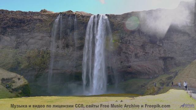 Эта мелодия написана вашей ДНК - услышьте код жизни! - El Camino del Alce -- Silva de Alegria -- Pri
