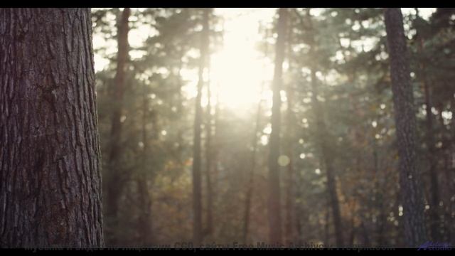 Леса и поля раскрываются под эту мелодию - Ancient Memories -- HoliznaCC0 -- Forager