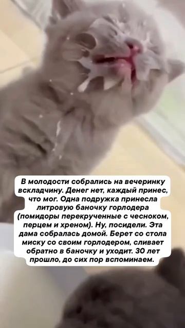 праздник