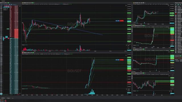 14-Bidusdt-Long-Stoploss-09-06-2025-14-02-36
