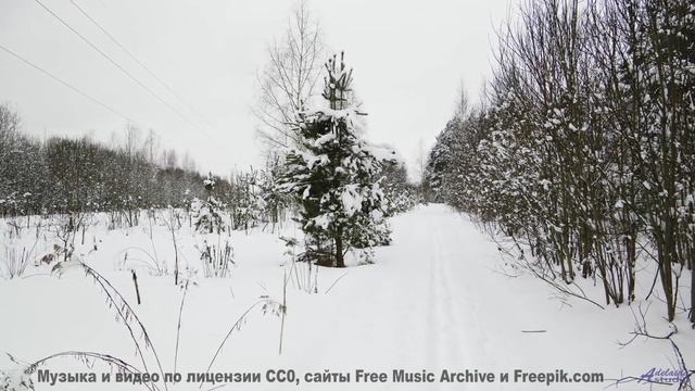 Видео, созданное нейросетью - отличите ли вы его от реальности - See Your Live in Tree Minutes (ID 1