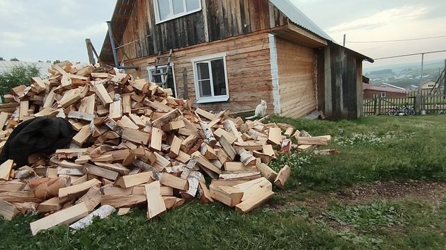 Коржик и Дарки 14-06-2025