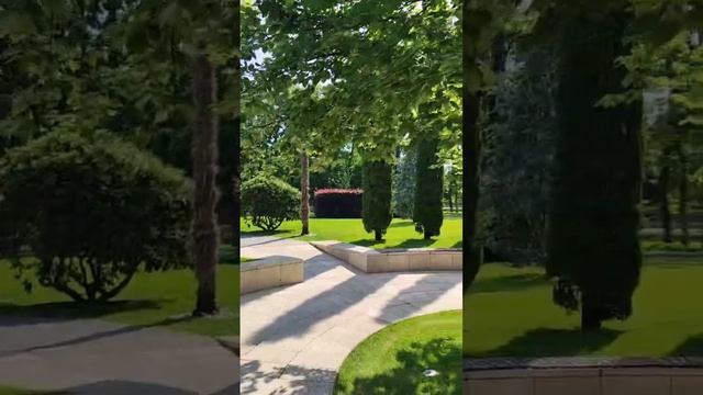 Немного летней прогулки по парку Галицкого (Краснодар)