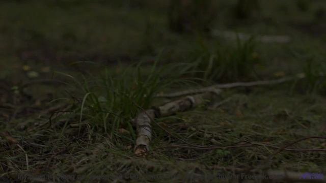 Душа вылетает из тела при таких пейзажах и звуке - Just-Because -- Ketsa -- Dimensions