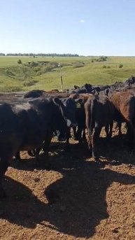 Летние заботы и полезные практики