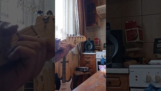 кот опять чем-то недоволен