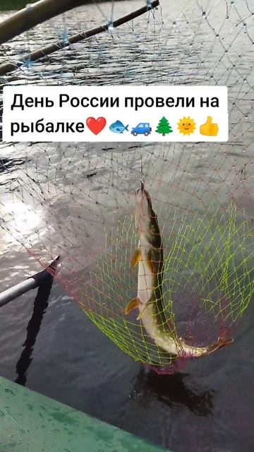 Рыбалка в Карелии на красном озере