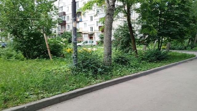 1000008479.mp4