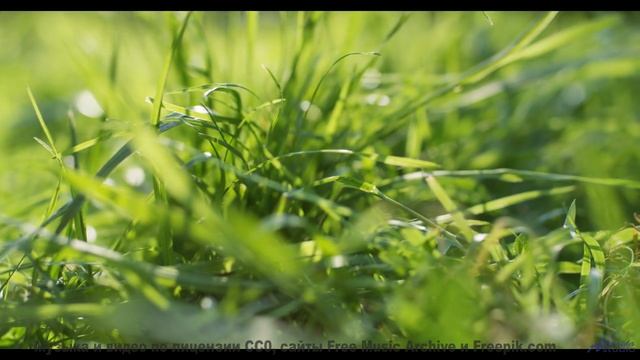 Музыка, под которую хочется целоваться - попробуйте! - Pride -- Ketsa -- The New World