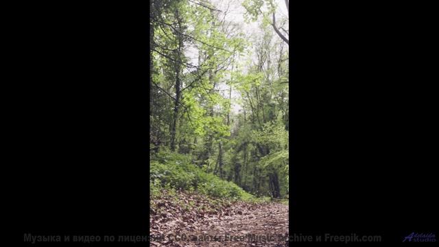 Почему все помешаны на этом - A Pleasant Dream -- Kirk Osamayo -- Season Two (GREEN)