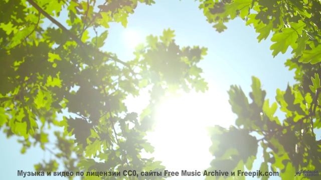 Невозможно отвести взгляд под такую музыку и виды - Forte -- Ketsa -- Summer With Sound