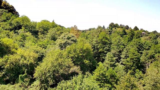 Село Дзыгута в Абхазии