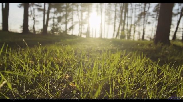 Земля звучит лучше любой симфонии в этом ролике - My deity...  -- Michael Angel -- My deity