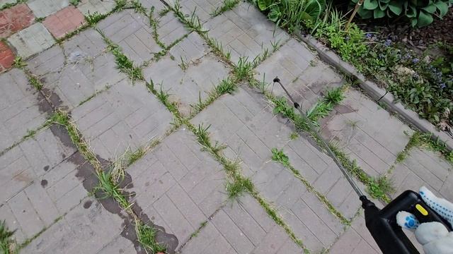 тест от травы в межплиточных швах 💁🏼♀️