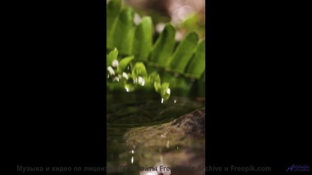 Природа, увиденная через квантовый микроскоп - невероятные детали! - Leave The Bottle (Instrumental)