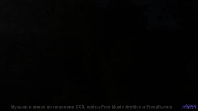 Никто не останется равнодушным к такому сочетанию - Die Mit Dem Kontrabass -- Phillip Gross -- Quart