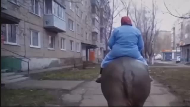Только для взрослых 😁