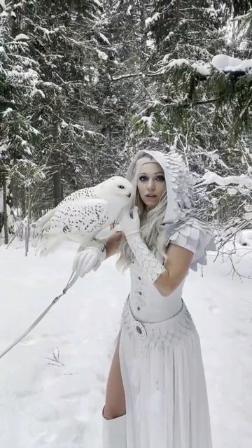 метель