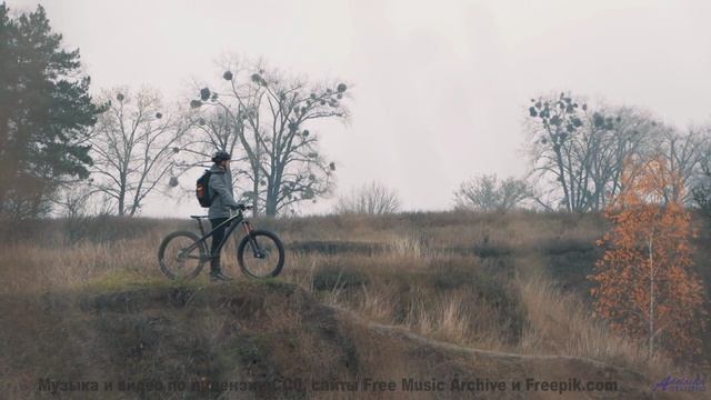 Этот саундтрек - как путешествие в зимнюю сказку! - House on a Tree -- Crowander -- Commercial 30 Se