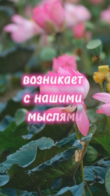 #агнийога #живая_этика #знания #мудрость_великих_учителей #мудрость