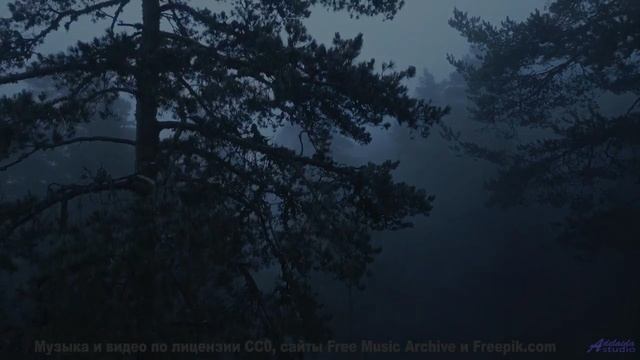 Голова кружится, когда виды и музыка сплетаются - 10 Bags -- Shaolin Dub -- Preservation