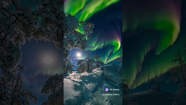 МОЯ ПРИРОДА ЛУЧШИЙ МОМЕНТЫ