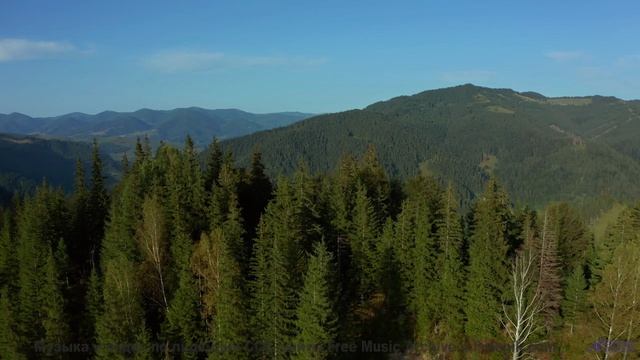 Кадры, которые доказывают существование магии - убедитесь сами! - Thoughts Growing Mold -- HoliznaCC