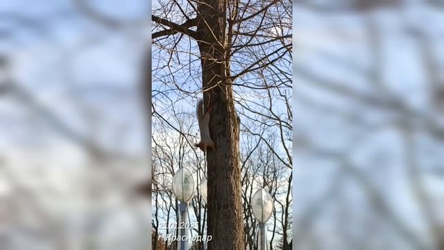День Блогера. Путешествие в прошлое🔸