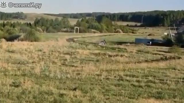 деревенская погоня