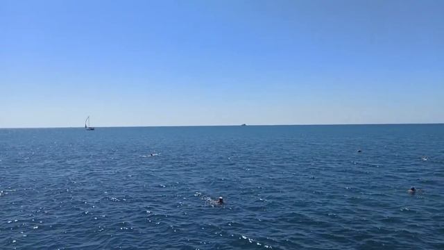 Воспоминания о лете  Санаторий Фрунзе. Сочи