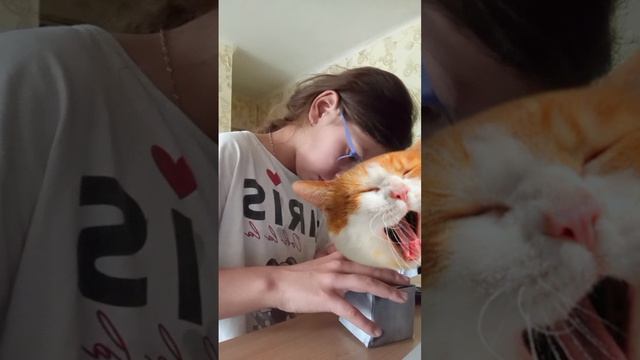 делаю чипика под именем Аркадий