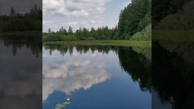 День удался!